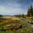 Ze umavy, olej (pachtle) 70x50, darovno galerii