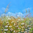 Louka pln kopretin, olej 50x60