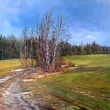 Okol Jivna, olej 80x90
