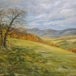 V kopcch - ped detm, olej 100x60