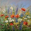 Dary louky, olej 50x50