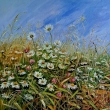 Ke konci lta, olej 40x40
