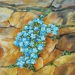 Kousek nebe mezi kameny, olej 60x60