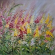 V zahrad - Lupina, olej 50x50