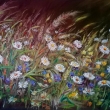 Ve vnku 80x60