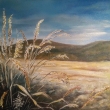 Prvn mrazk, olej 40x50, zamluveno