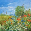 Tady jsem doma, olej 40x40