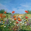 Chvla ltu, olej 100x60