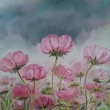 Krsenky, olej  50x60