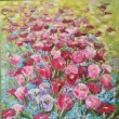 Tulipnov, olej - pachtle 60x80
