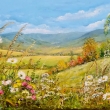Louka - pohled do dol 120x60