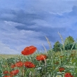 U ns doma, olej 50x40