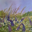 Lto , 50x50 olej