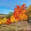 Malebn podzim, olej 70x50